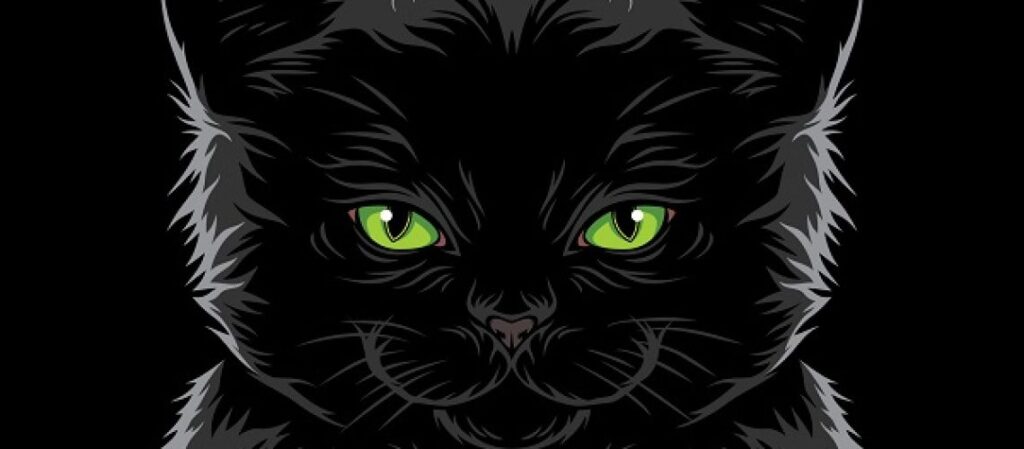 The BlackCat ยืนยันเป็นผู้โจมตี Henry Schein ยักษ์ใหญ่ด้านการดูแลสุขภาพ